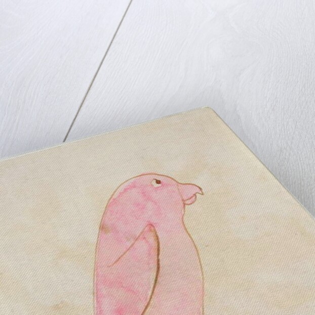 The Pink Bird by Edward Lear