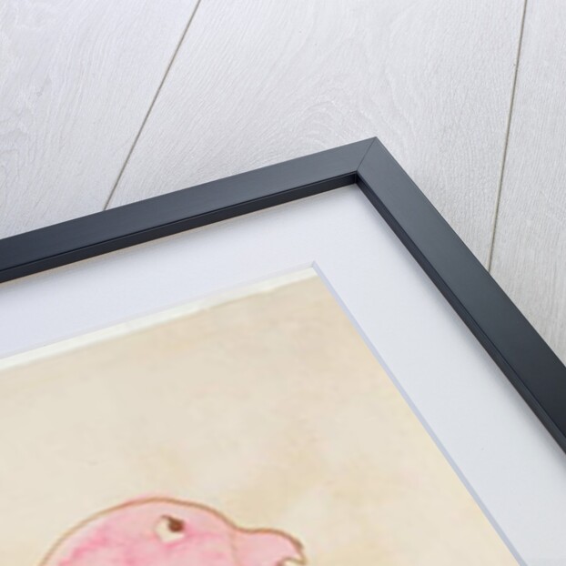 The Pink Bird by Edward Lear