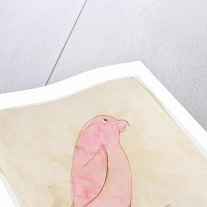 The Pink Bird by Edward Lear