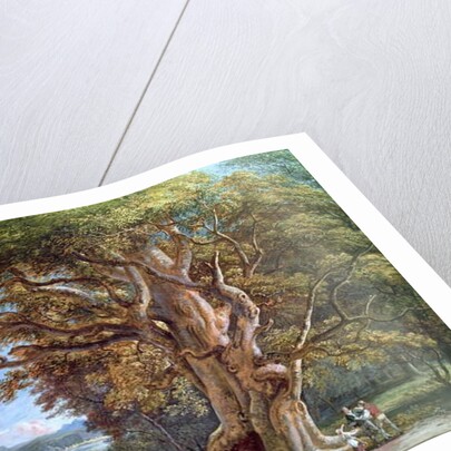 An Ancient Beech Tree, 1794 by Paul Sandby