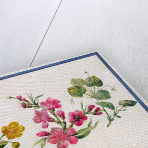 Marsh Marigold, Japonica, Violet by Claude Aubriet