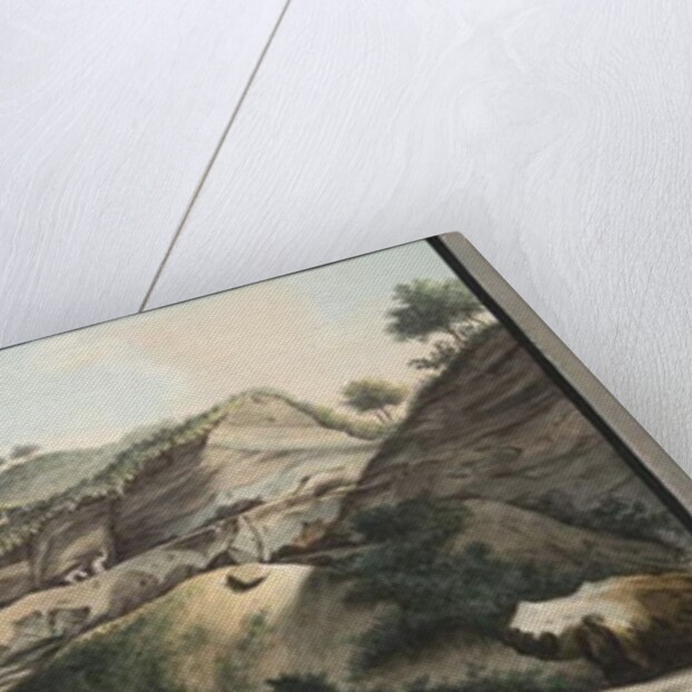 Part of the Cone of the Mountain of Somma by Pietro Fabris