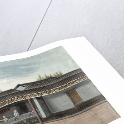 Drying tea leaves by School Chinese