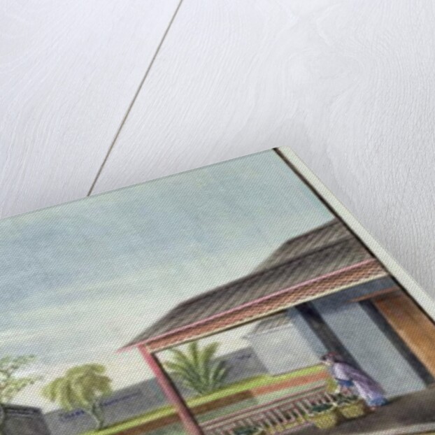 Tending tea plants by School Chinese