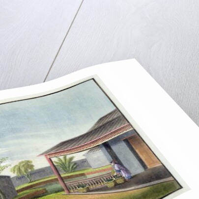 Tending tea plants by School Chinese