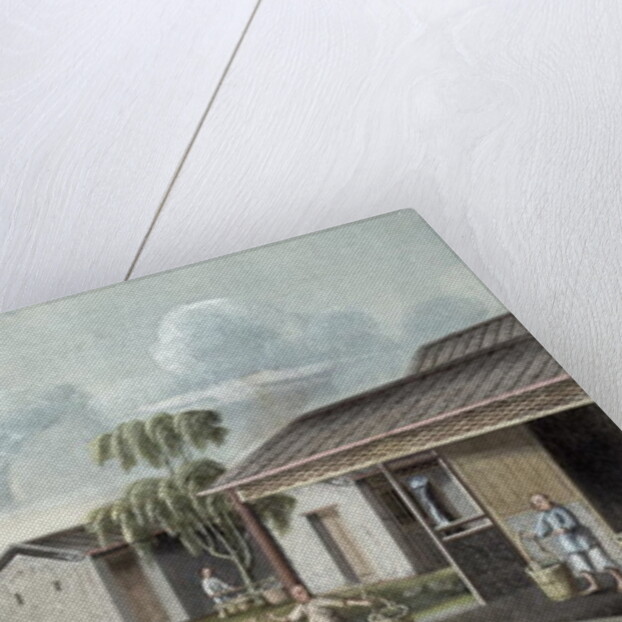 Watering tea plants by School Chinese