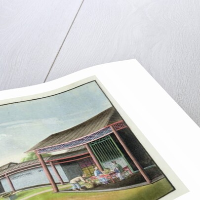 Sorting small leaves for drying by School Chinese