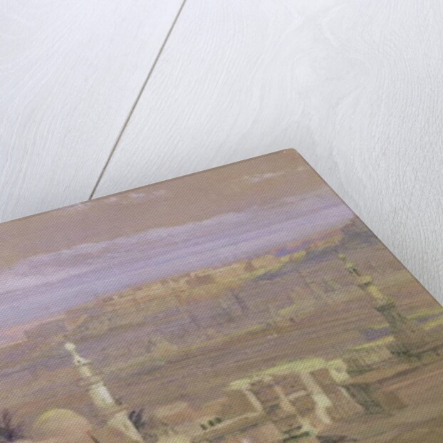 Cairo from the Gate of Citizenib, looking towards the Desert of Suez by David Roberts