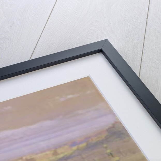 Cairo from the Gate of Citizenib, looking towards the Desert of Suez by David Roberts