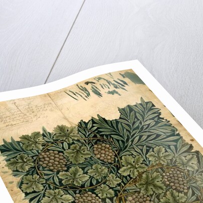 Design for 'Vine' wallpaper, c.1872 by William Morris