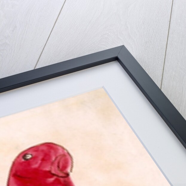 The Crimson Bird by Edward Lear