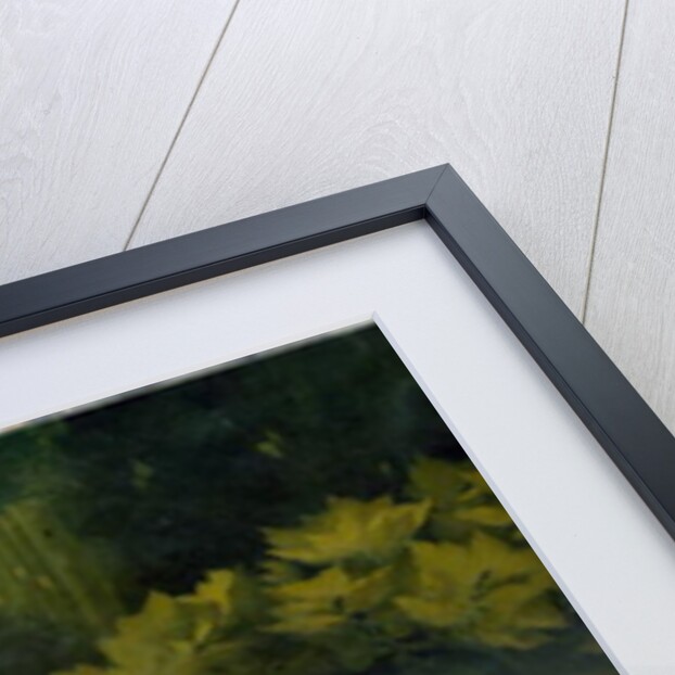 The Golden Age, 1897-98 by Janos Vaszary