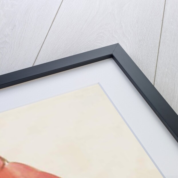 The Red Bird by Edward Lear