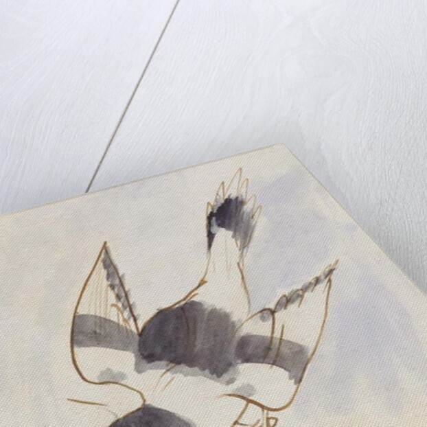 The Black and White Bird by Edward Lear