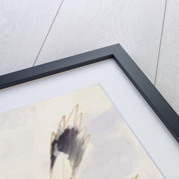 The Black and White Bird by Edward Lear