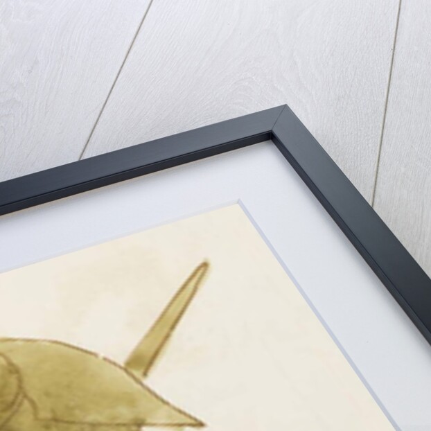 The Brown Bird by Edward Lear