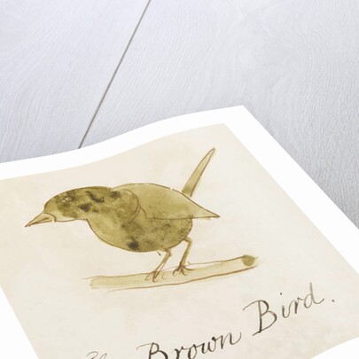 The Brown Bird by Edward Lear
