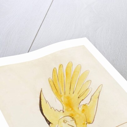 The Yellow Bird by Edward Lear