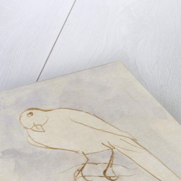 The White Bird by Edward Lear