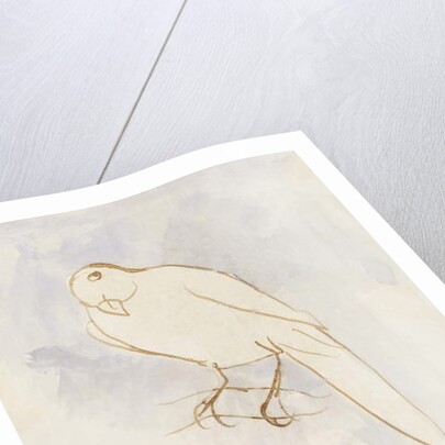 The White Bird by Edward Lear
