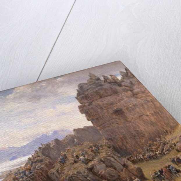 Alþing in Session, 19th Century by William Gersham Collingwood