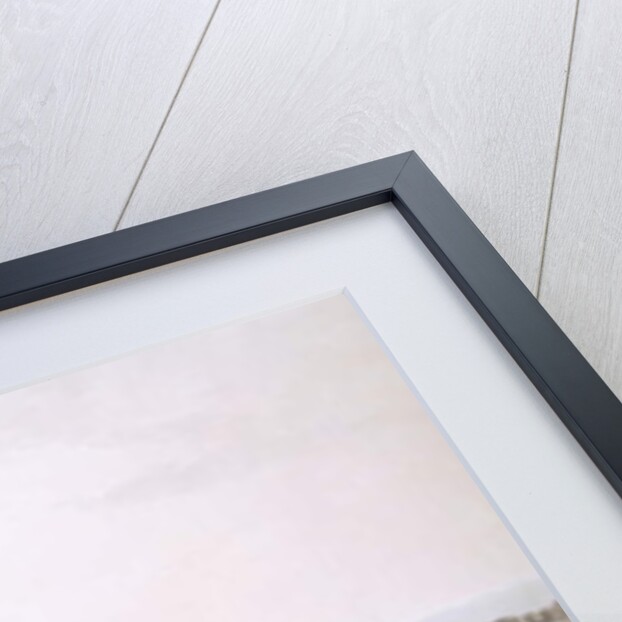 View of Dublin by Irish School