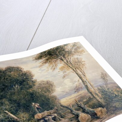 The Saw Pit by David Cox