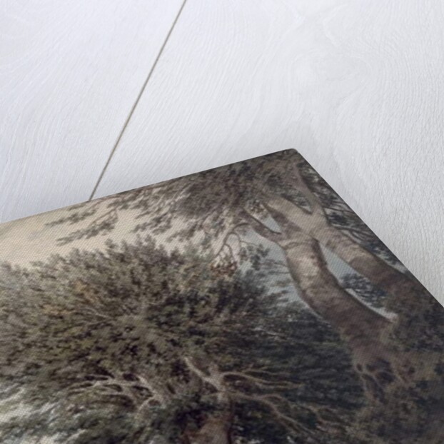 Mountainous Landscape with Beech Trees, 1792 by John Robert Cozens