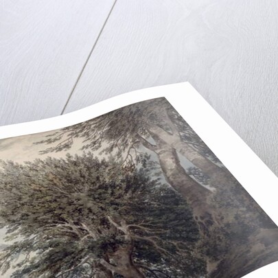 Mountainous Landscape with Beech Trees, 1792 by John Robert Cozens