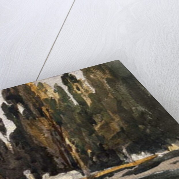 An Eastern Burial Ground by William James Muller