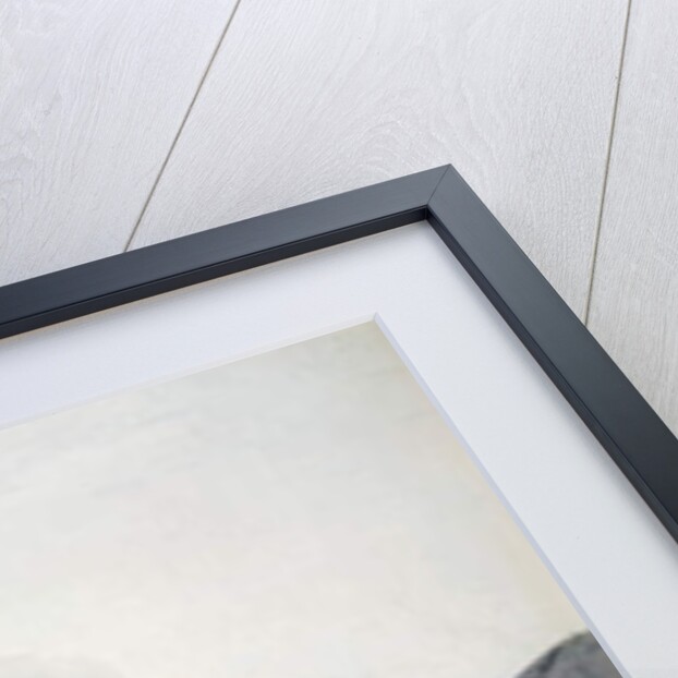 Ruins of the Palace of Madra by Thomas Daniell