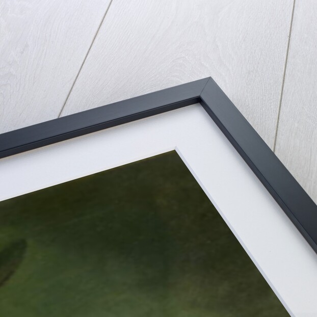 Madame Roubiliac, c.1760 by Francois Vispre