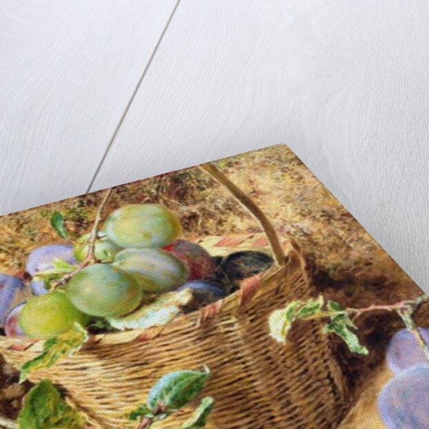 Plums by William Henry Hunt