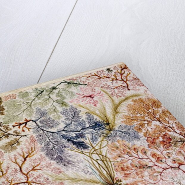 Textile design, c.1788-92 by William Kilburn