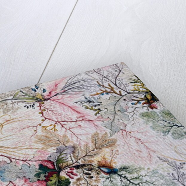 Textile design, c.1788-92 by William Kilburn