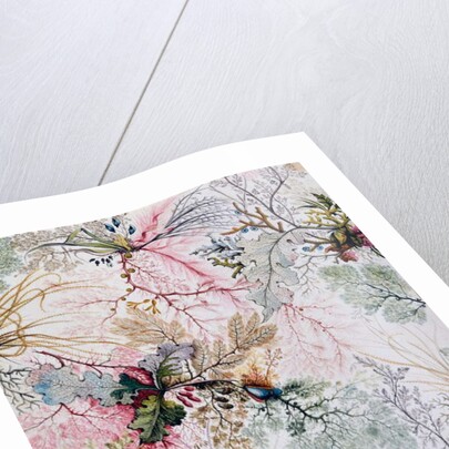 Textile design, c.1788-92 by William Kilburn