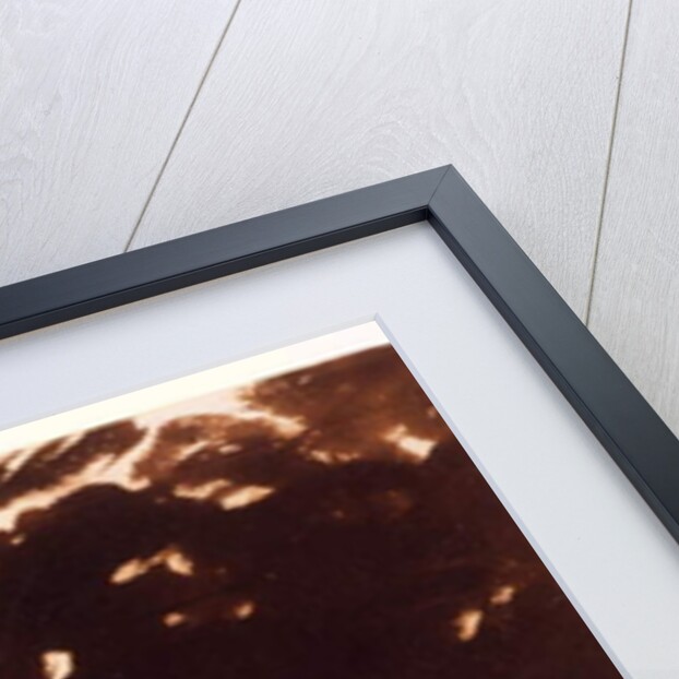 Trees and a stretch of water on the Stour by John Constable