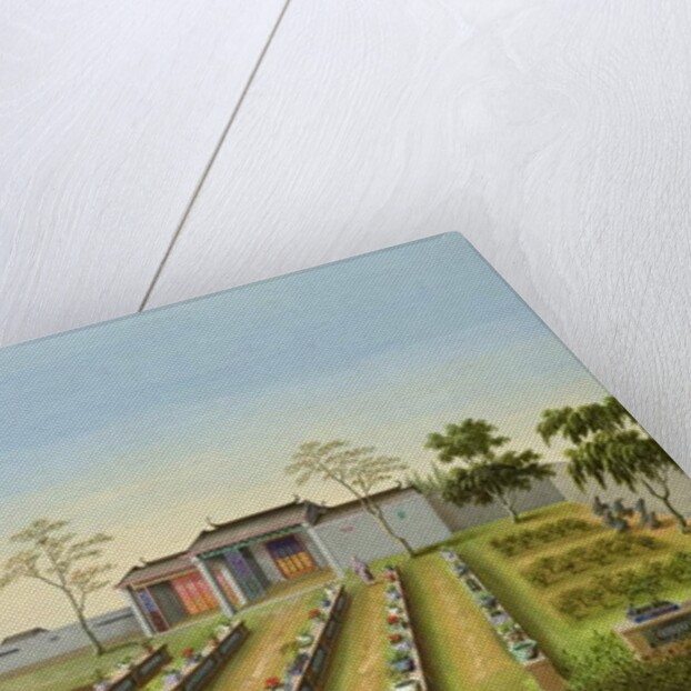 Nursery Garden, c.1820-40 by School Chinese
