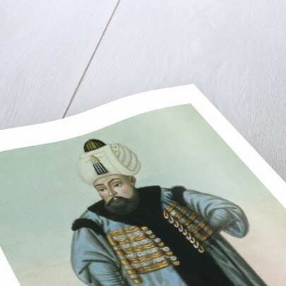 Selim II called 'Sari', the Blonde or the Sot, Sultan 1566-74 by John Young