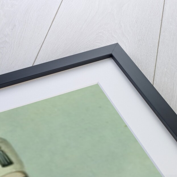 Amurath III Sultan 1574-95 by John Young