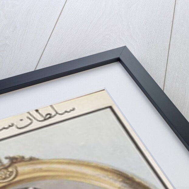 Selim III Sultan 1789-1807 by John Young