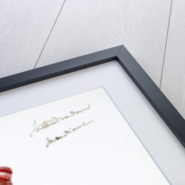 Vaishnavite Brahmin by Indian School