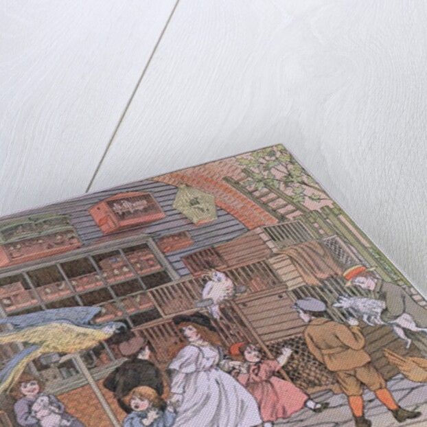 The Pet Shop by Francis Donkin Bedford