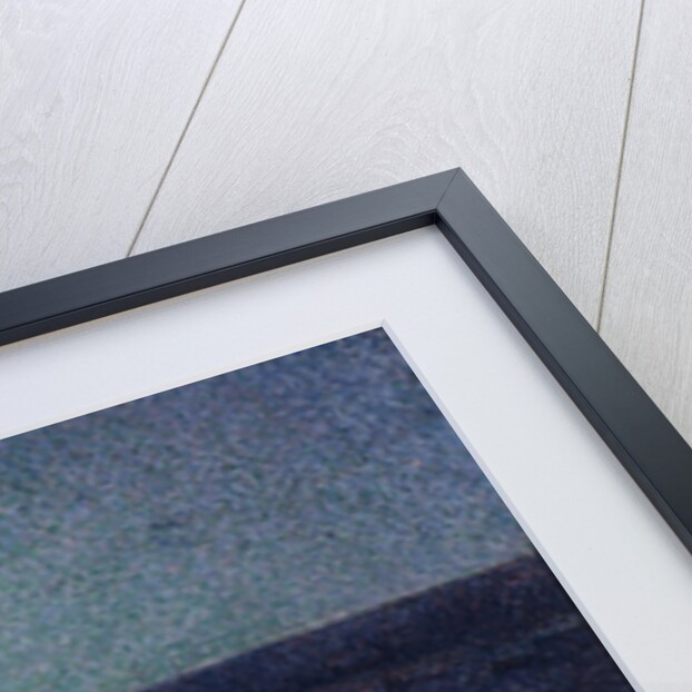 Camaret, Moonlight and Fishing Boats, 1894 by Maximilien Luce