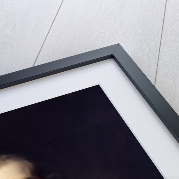 John Julius Angerstein, 1765 by Joshua Reynolds