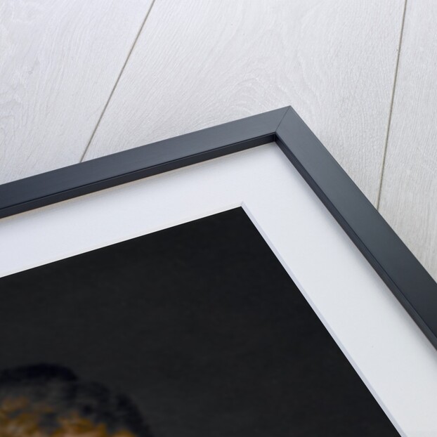 Portrait of a Woman, c.1886 by Hannah Brown Skeele