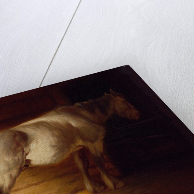 Old Field Horse, by 1856 by George Caleb Bingham