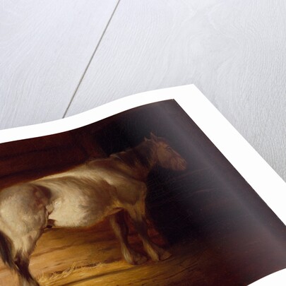 Old Field Horse, by 1856 by George Caleb Bingham