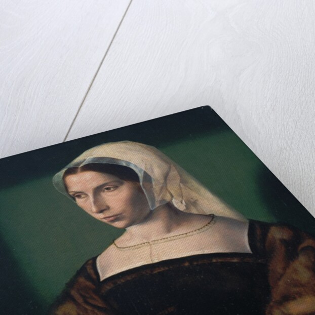 Portrait of Anne Stafford, c.1535 by Ambrosius Benson