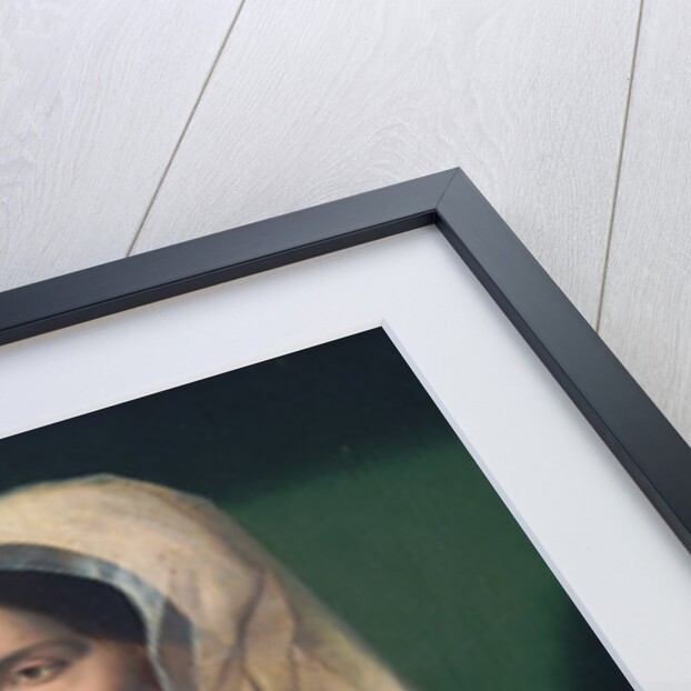 Portrait of Anne Stafford, c.1535 by Ambrosius Benson